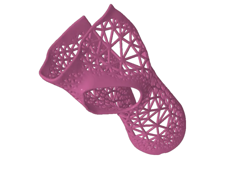 Splint