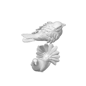 Two Bird Models
