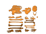 Mr Bones Remix-0