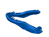 T. rex-1