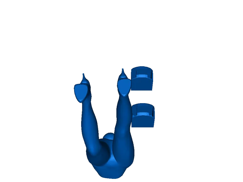 Bunnny legs