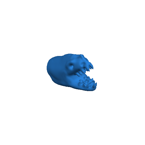Hybrid Head 1