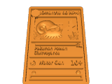 Card Pokémon-2