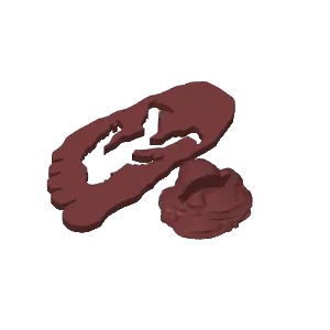Bigfoot (Foot & Stand)