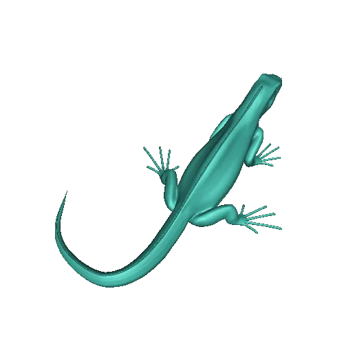 Florida Anole lizard