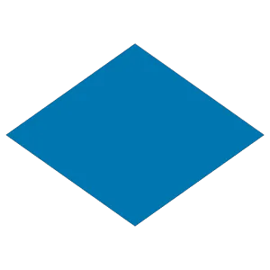 bed level test