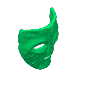 The Mask