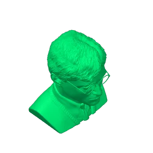 Harry Potter Bust