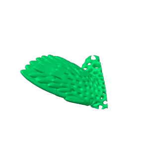 bird wing