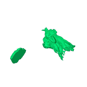 Malenia from Elden Ring