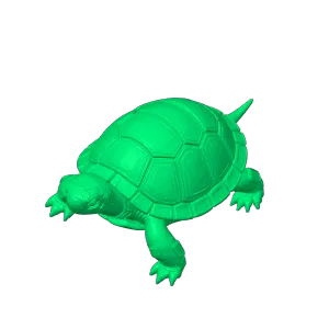 cyber turtle