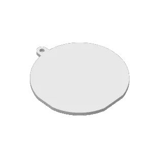 SnapForm Ghost