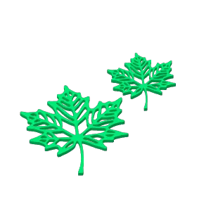 Maple leaf