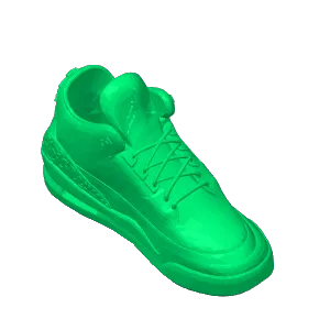 shoe