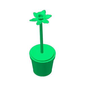 Daffodil in pot