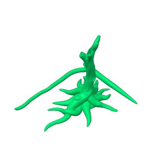 flexi sloth
