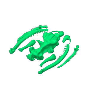 Cobra Skull