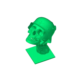 Skull