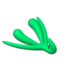 Clitoris ear