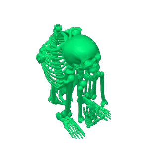Me bones
