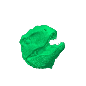 RAPTOR HEAD