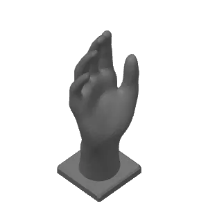 Hand RingHolder