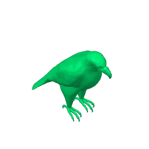 Adler 