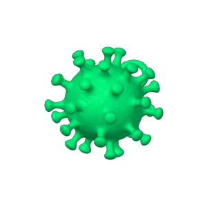 earring virus 
