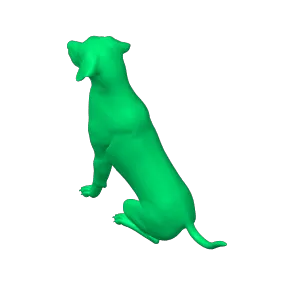 labrador