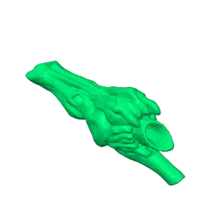 Raptor call