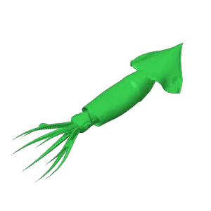 Squid Bait