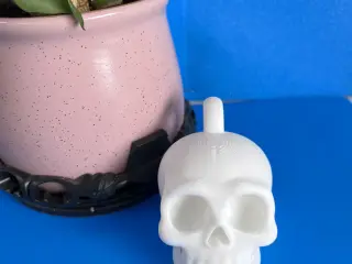 Tiny Skull Keychain