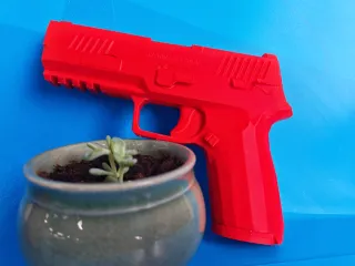 gun