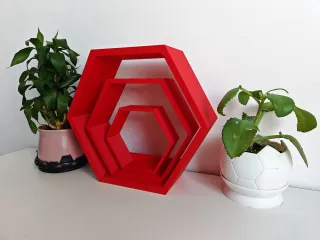 Honeycomb Shelf