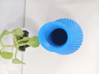 vanta · vase