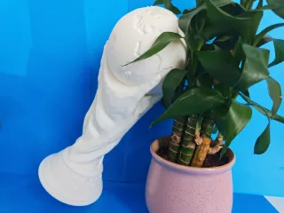 World Cup Trophy