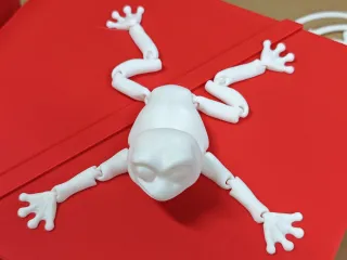 Frog flexi