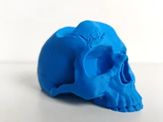 Skull Controller Stands | Pack of 4 Controller Types