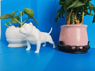 Bulldog