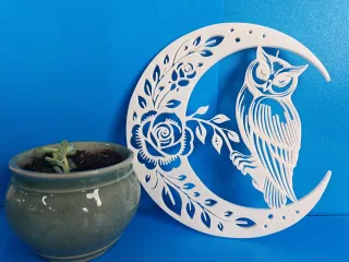 Moon owl