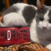 avatar of Th3 MadPrinter