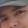 avatar of Darkirox