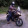 avatar of Hudson50670