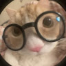 avatar of user3748837277