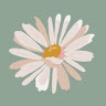 avatar of Denise Besite