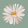 avatar of Denise Besite