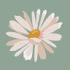 avatar of Denise Besite
