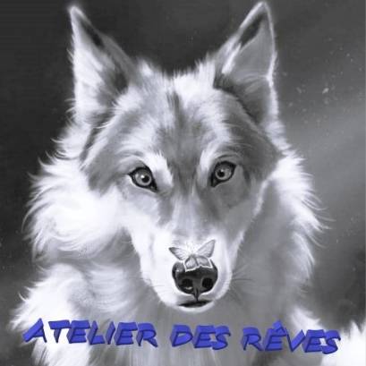 avatar of L Atelier Des Rêves