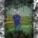 avatar of sabbir11901
