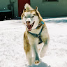 avatar of Jake Balto